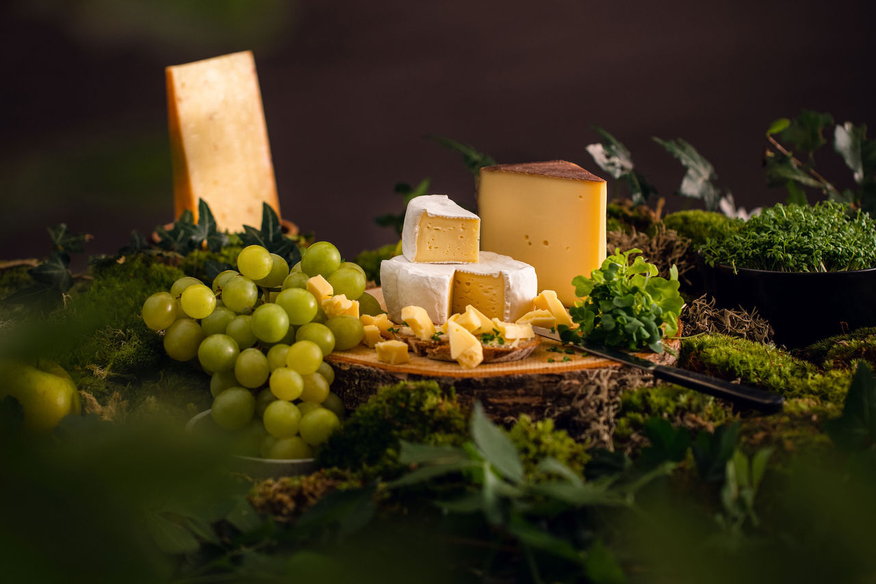 a cheezy selection of cheese with grapes