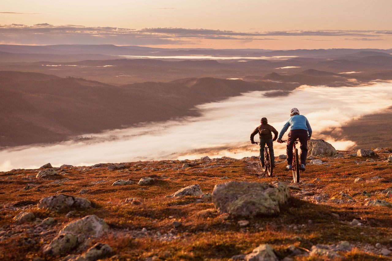 mountain bikers on a hillside looking over a misty valley